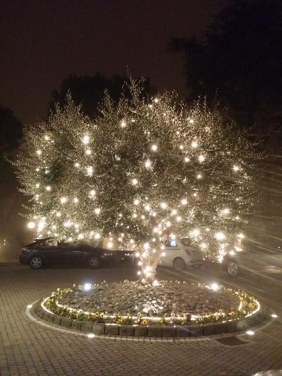 B&B Casa Dei Camini Bentivoglio Dış mekan fotoğraf