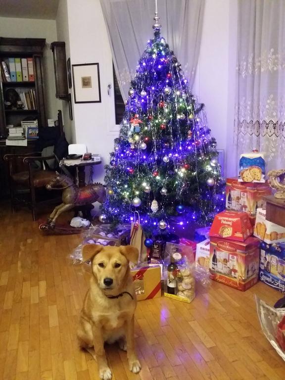 B&B Casa Dei Camini Bentivoglio Dış mekan fotoğraf