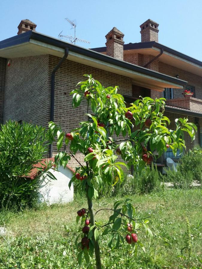B&B Casa Dei Camini Bentivoglio Dış mekan fotoğraf