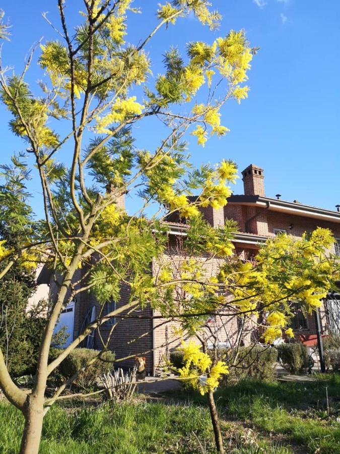 B&B Casa Dei Camini Bentivoglio Dış mekan fotoğraf